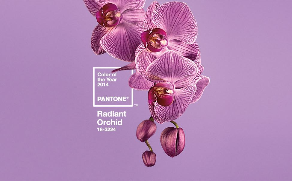 The Pantone Color of 2014 and How Colors are Named
