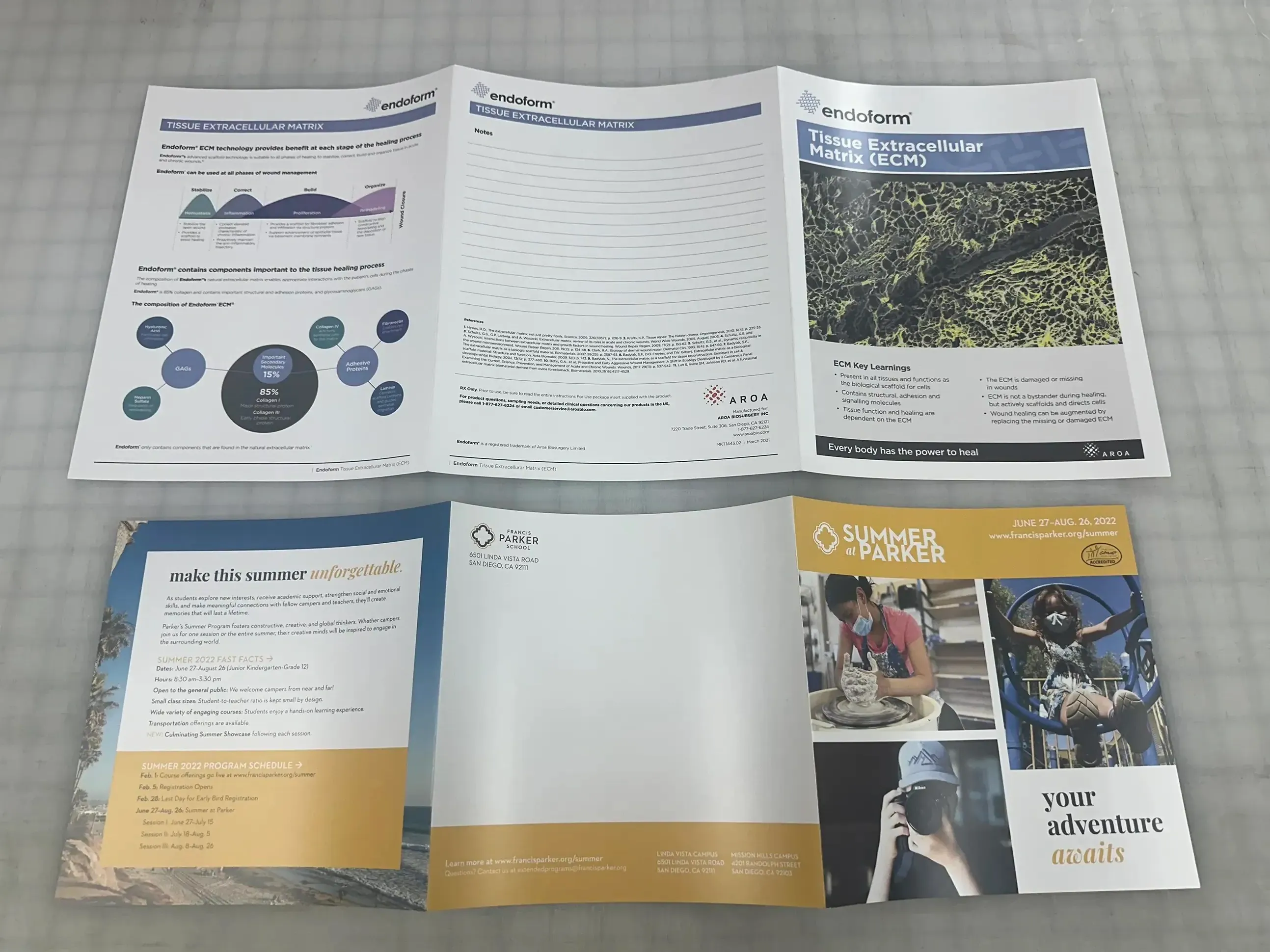 Printed brochures and educational materials used to communicate medical or life sciences information