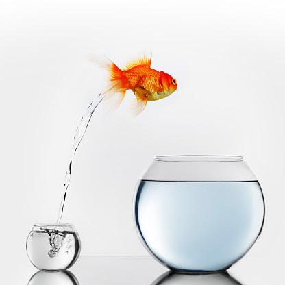 From Small Things Come Big Changes