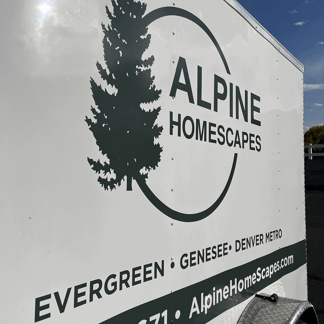 Vehicle Wraps
