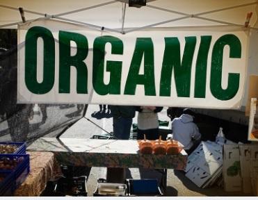 So You Are Thinking About Using a Vinyl Banner? Here’s why you should.