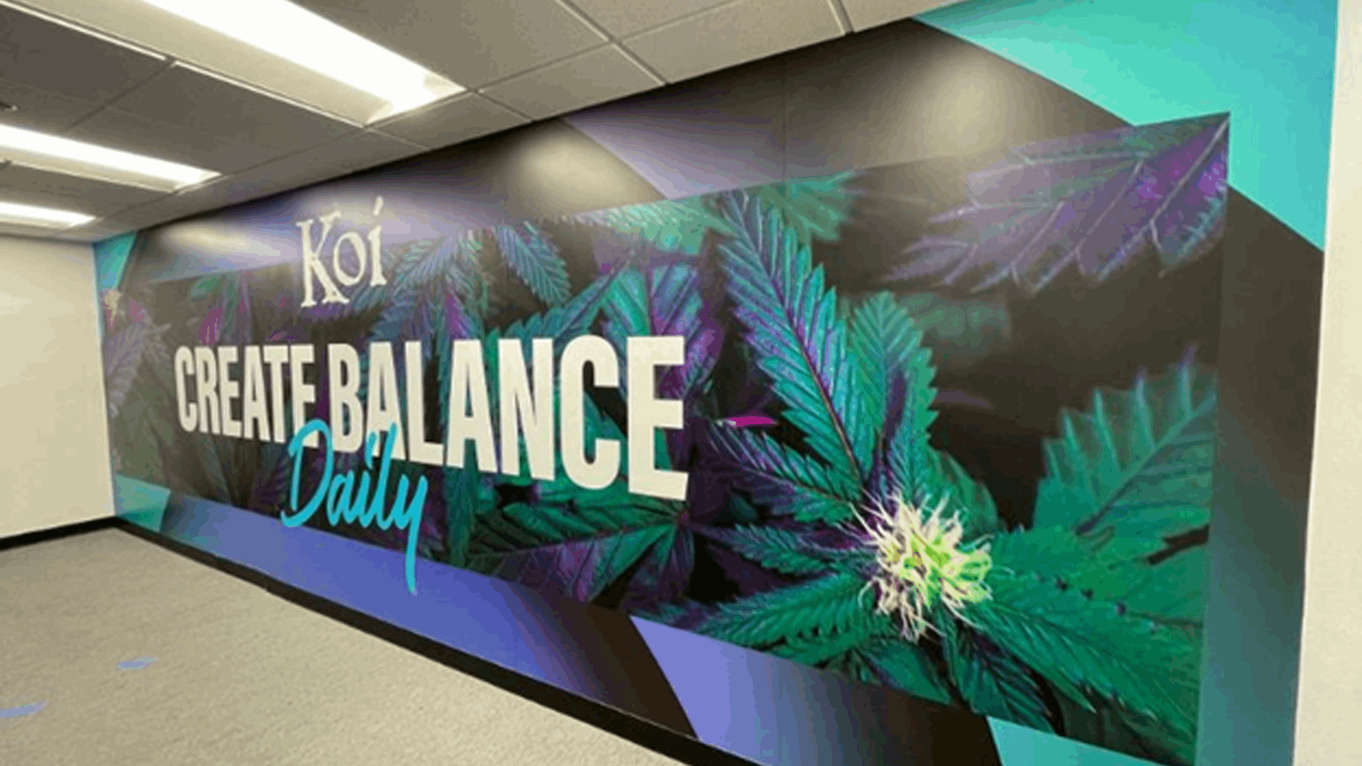 Wall Graphics vs. Vehicle Graphics: Which One Drives More Impact?
