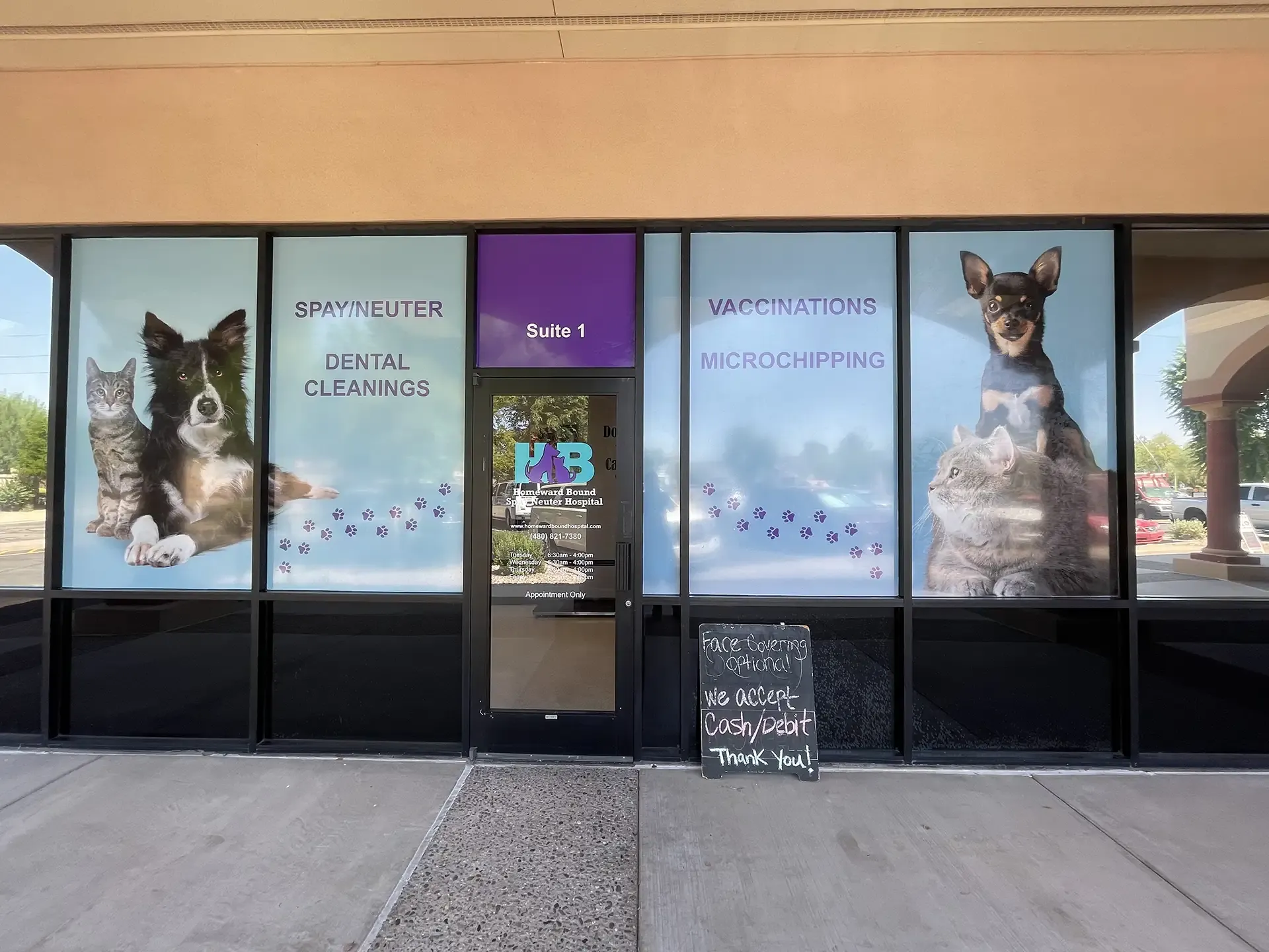 Wall & Window Signage in Chandler